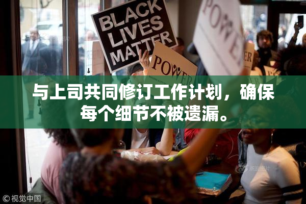 与上司共同修订工作计划，确保每个细节不被遗漏。