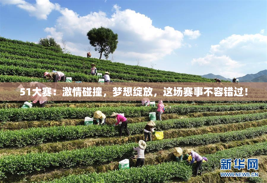 51大赛：激情碰撞，梦想绽放，这场赛事不容错过！