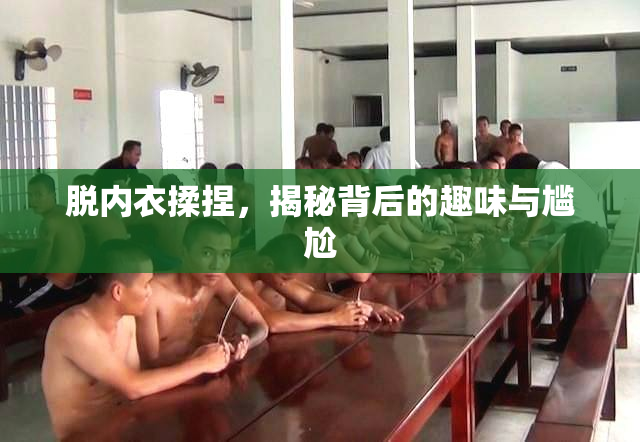 脱内衣揉捏，揭秘背后的趣味与尴尬