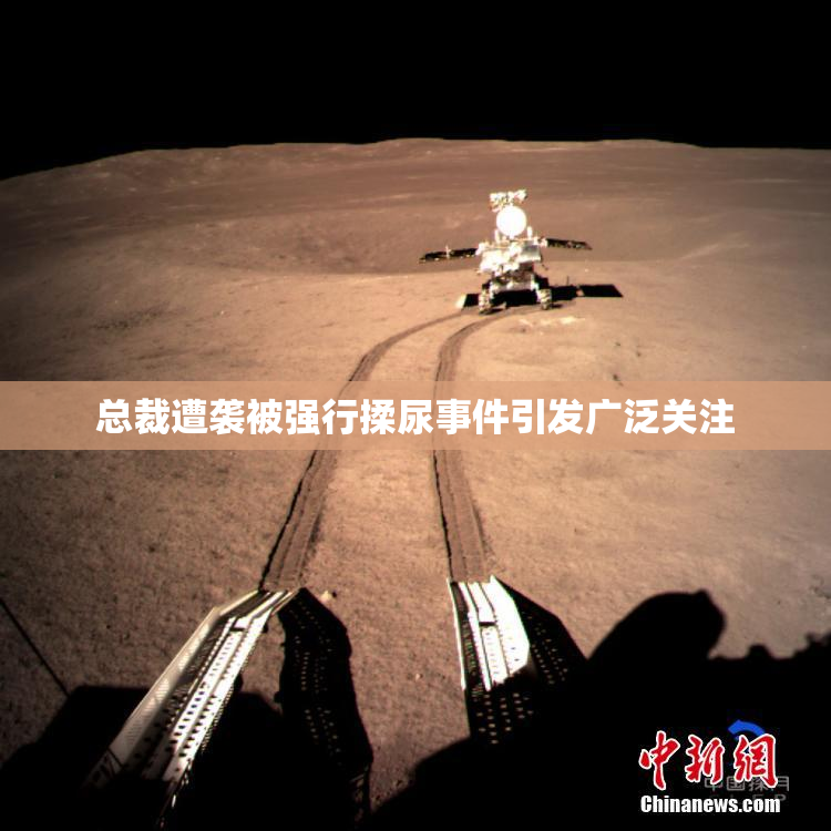 总裁遭袭被强行揉尿事件引发广泛关注