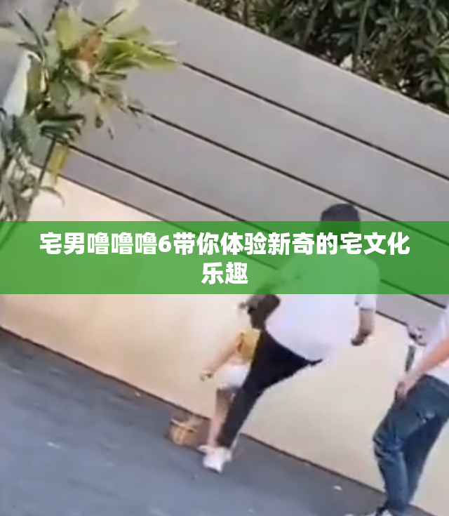 宅男噜噜噜6带你体验新奇的宅文化乐趣