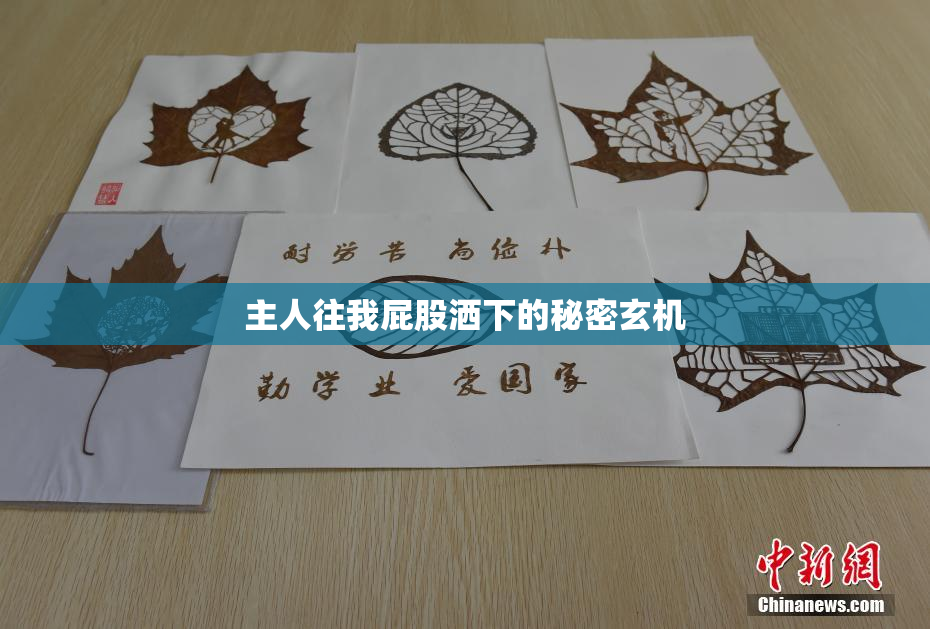 主人往我屁股洒下的秘密玄机