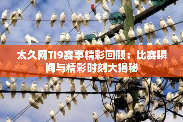 太久网TI9赛事精彩回顾：比赛瞬间与精彩时刻大揭秘