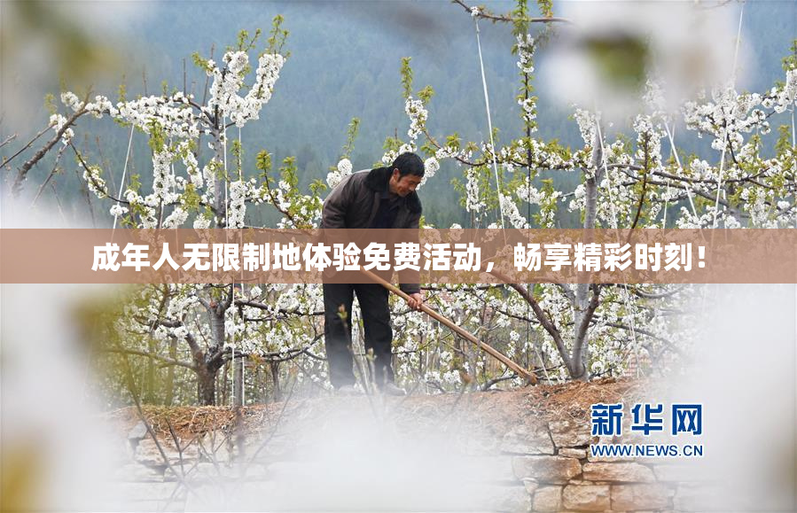 成年人无限制地体验免费活动，畅享精彩时刻！