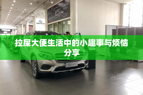 拉屎大便生活中的小趣事与烦恼分享