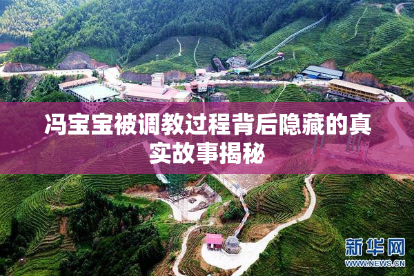 冯宝宝被调教过程背后隐藏的真实故事揭秘