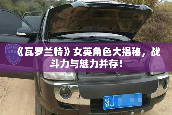 《瓦罗兰特》女英角色大揭秘，战斗力与魅力并存！