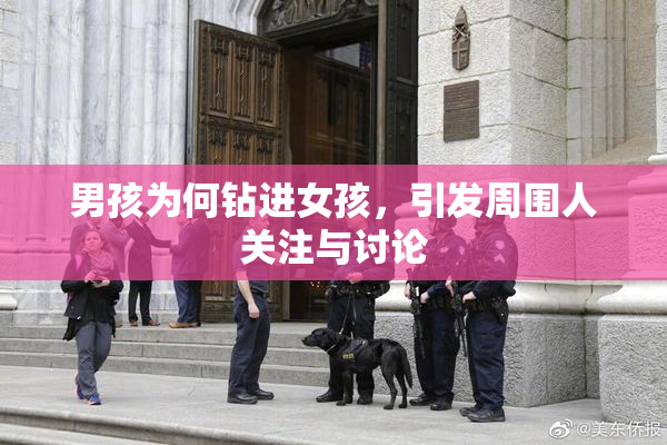 男孩为何钻进女孩，引发周围人关注与讨论