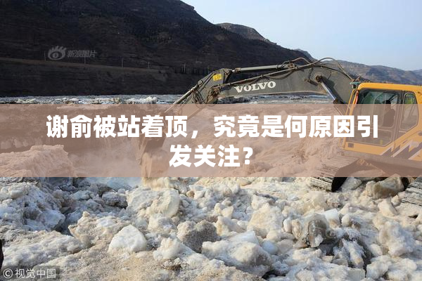 谢俞被站着顶，究竟是何原因引发关注？