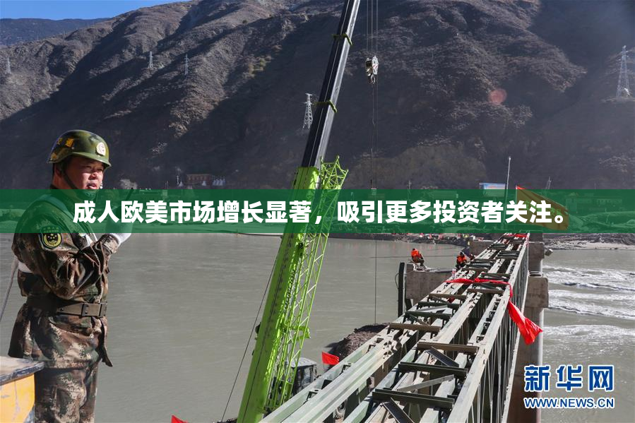 成人欧美市场增长显著，吸引更多投资者关注。