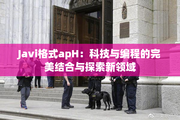 Javi格式apH：科技与编程的完美结合与探索新领域