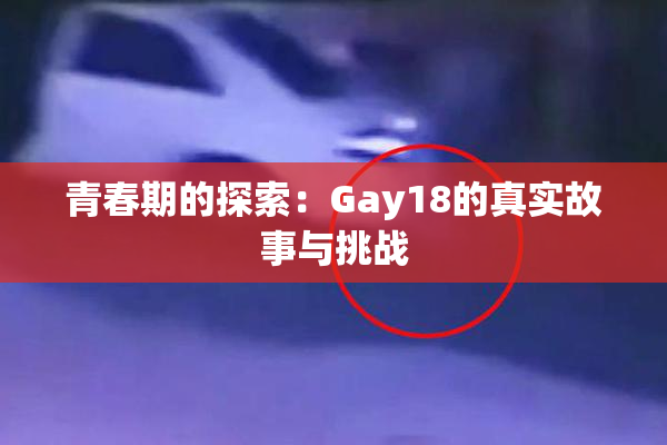 青春期的探索：Gay18的真实故事与挑战