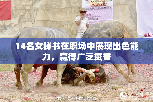 14名女秘书在职场中展现出色能力，赢得广泛赞誉