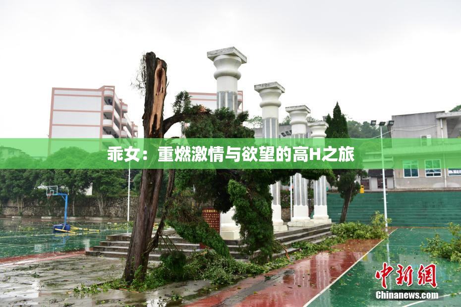 乖女：重燃激情与欲望的高H之旅