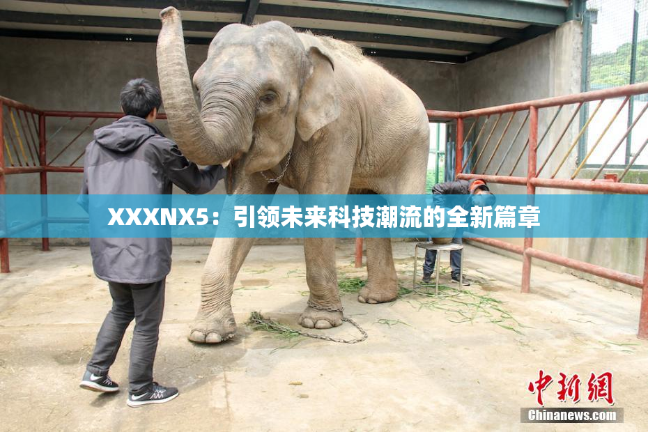 XXXNX5：引领未来科技潮流的全新篇章