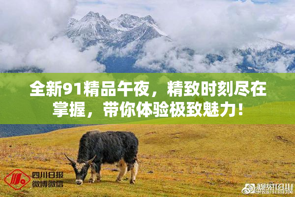 全新91精品午夜，精致时刻尽在掌握，带你体验极致魅力！