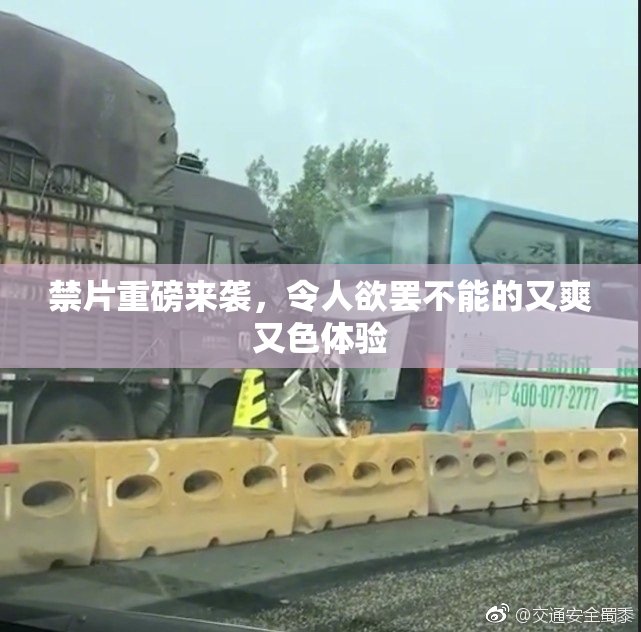 禁片重磅来袭，令人欲罢不能的又爽又色体验