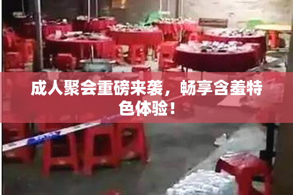 成人聚会重磅来袭，畅享含羞特色体验！