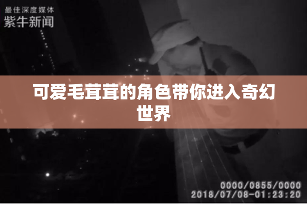 可爱毛茸茸的角色带你进入奇幻世界