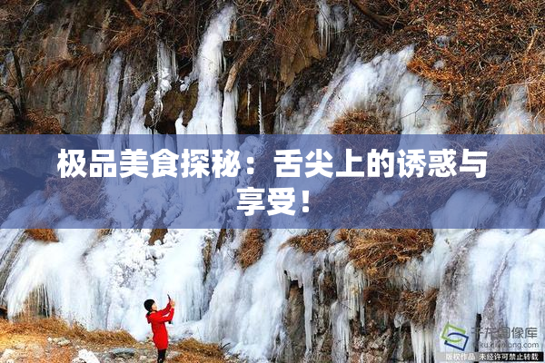 极品美食探秘：舌尖上的诱惑与享受！
