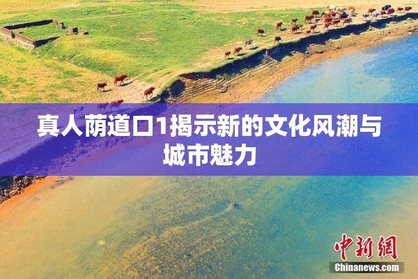 真人荫道口1揭示新的文化风潮与城市魅力