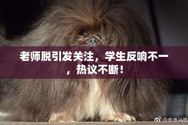 老师脱引发关注，学生反响不一，热议不断！