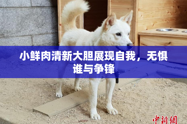 小鲜肉清新大胆展现自我，无惧谁与争锋