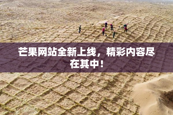 芒果网站全新上线，精彩内容尽在其中！