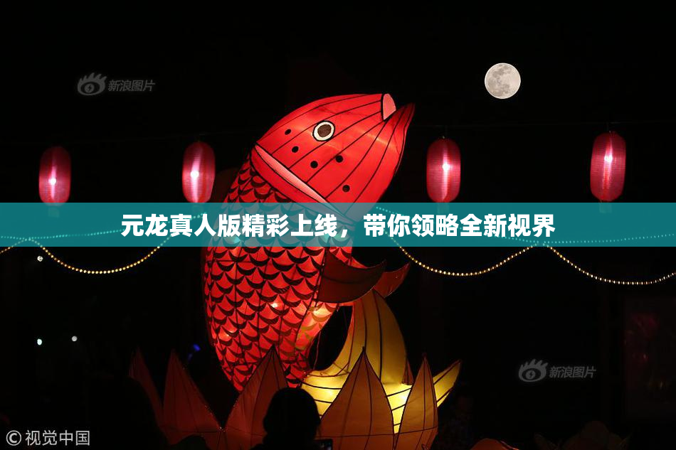 元龙真人版精彩上线，带你领略全新视界