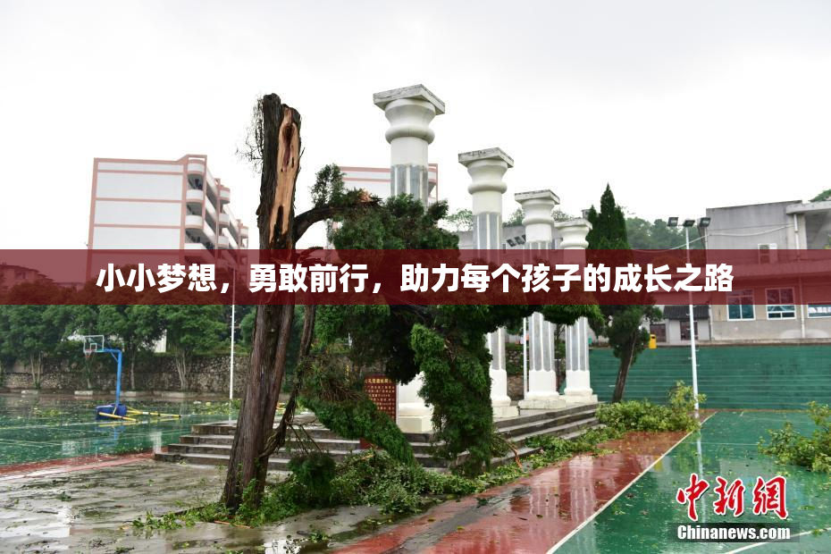小小梦想，勇敢前行，助力每个孩子的成长之路