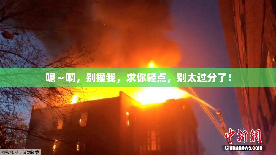 嗯～啊，别揉我，求你轻点，别太过分了！