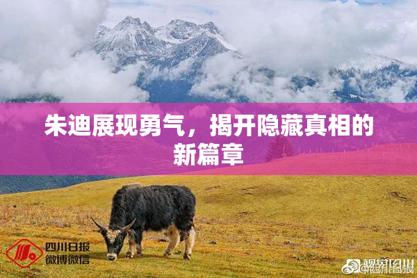 朱迪展现勇气，揭开隐藏真相的新篇章