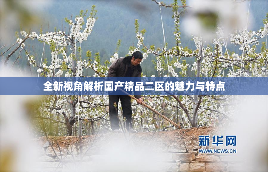 全新视角解析国产精品二区的魅力与特点