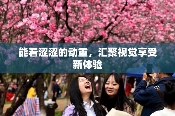 能看涩涩的动重，汇聚视觉享受新体验