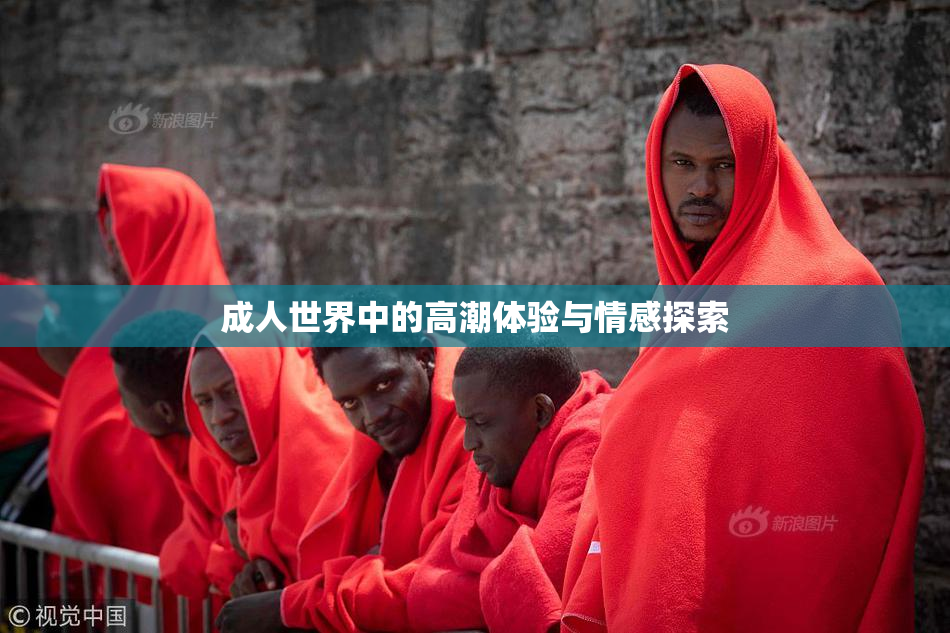 成人世界中的高潮体验与情感探索