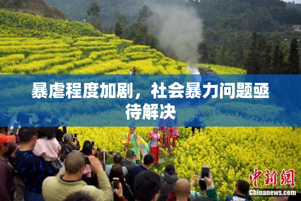 暴虐程度加剧，社会暴力问题亟待解决