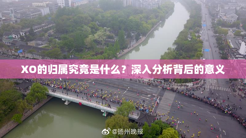 XO的归属究竟是什么？深入分析背后的意义