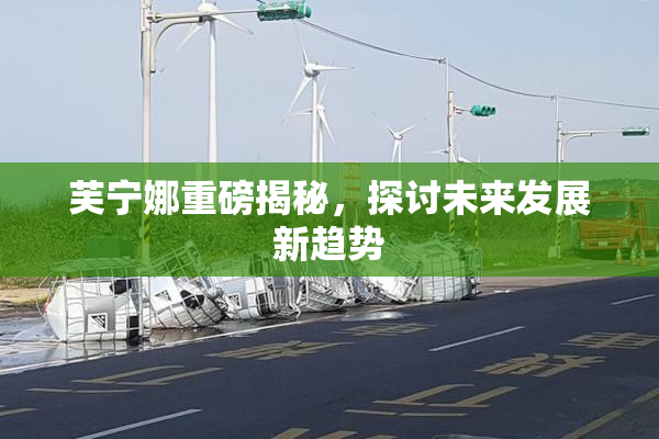 芙宁娜重磅揭秘，探讨未来发展新趋势