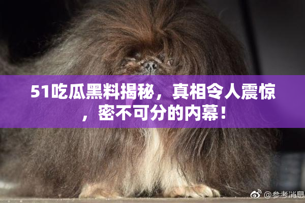 51吃瓜黑料揭秘，真相令人震惊，密不可分的内幕！