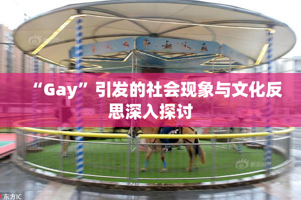 “Gay”引发的社会现象与文化反思深入探讨