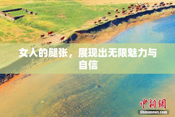 女人的腿张，展现出无限魅力与自信