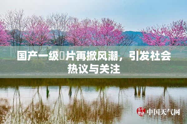 国产一级婬片再掀风潮，引发社会热议与关注