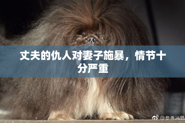 丈夫的仇人对妻子施暴，情节十分严重