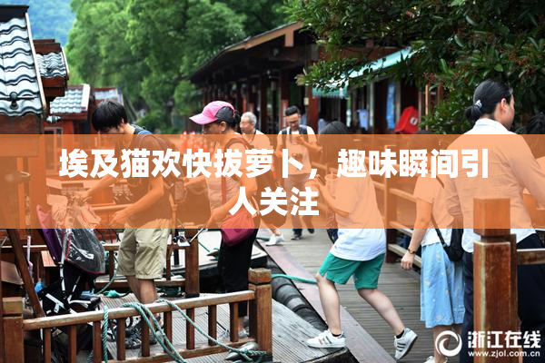 埃及猫欢快拔萝卜，趣味瞬间引人关注
