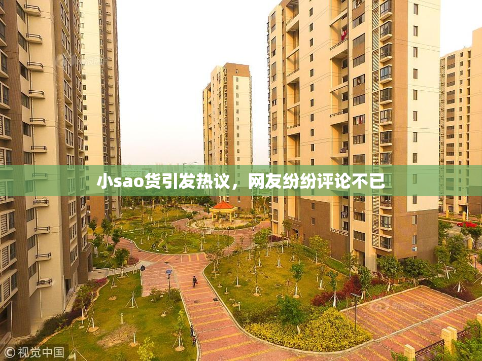 小sao货引发热议，网友纷纷评论不已