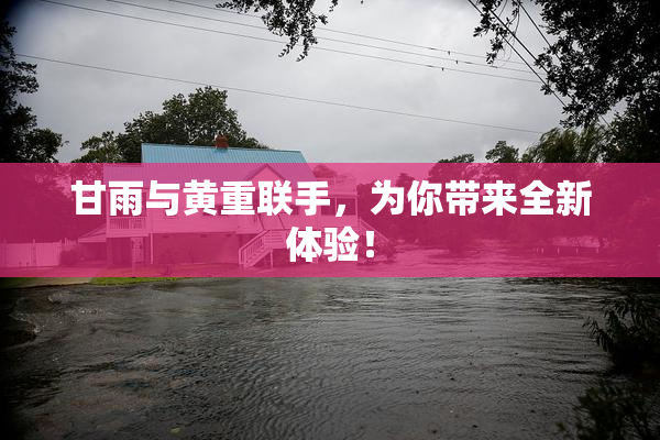 甘雨与黄重联手，为你带来全新体验！