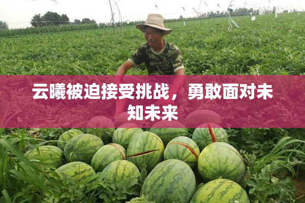 云曦被迫接受挑战，勇敢面对未知未来