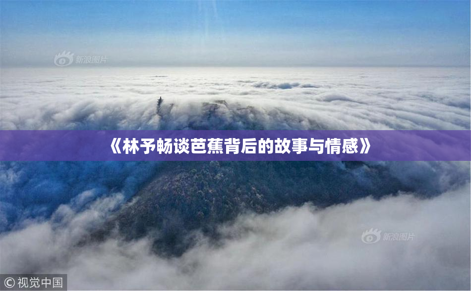 《林予畅谈芭蕉背后的故事与情感》