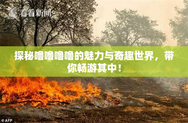 探秘噜噜噜噜的魅力与奇趣世界，带你畅游其中！