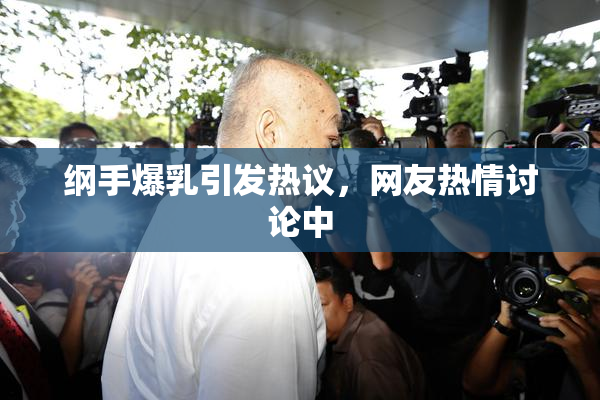 纲手爆乳引发热议，网友热情讨论中